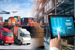 Logistics / Supply Chain
